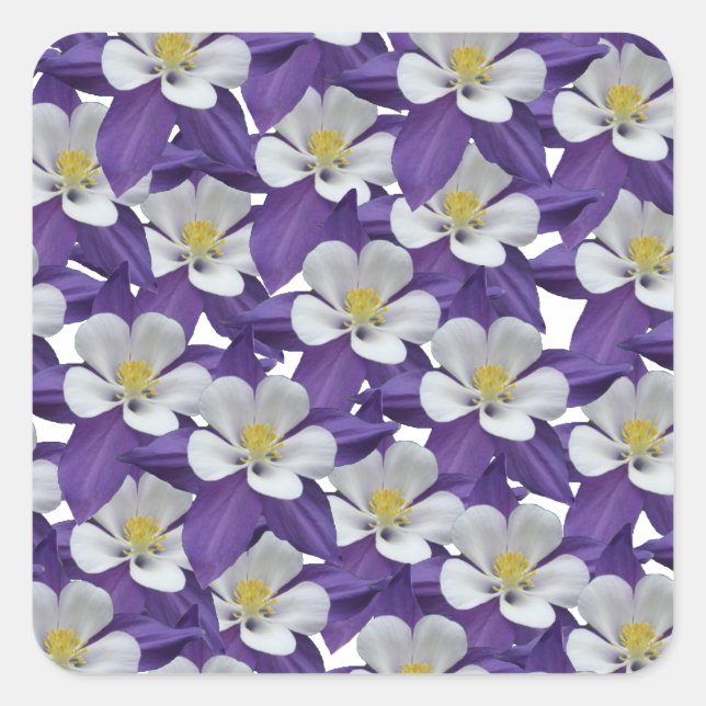 Columbine Flower Pattern Square Sticker (Front)