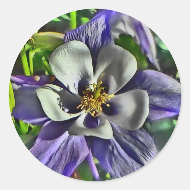 Columbine flower stickers (Front)