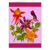 columbine flowers (Front)