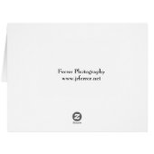 Columbine Flowers (Back Horizontal)