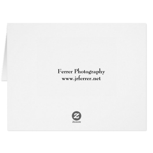 Columbine Flowers (Back Horizontal)