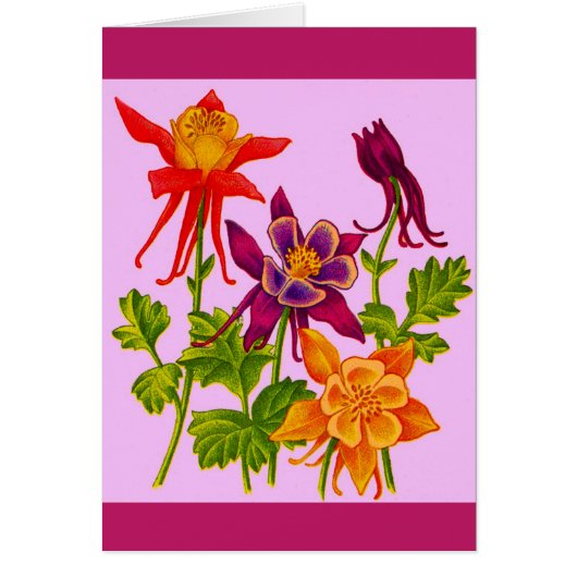 columbine flowers cards (Front)