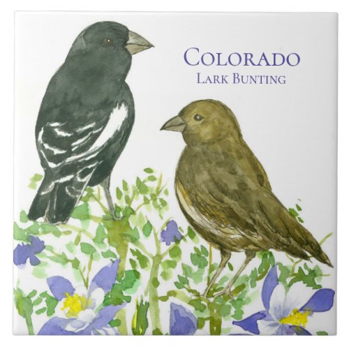 Columbine Flowers Lark Bunting Colorado Tile