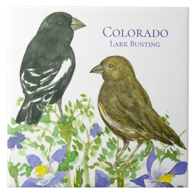 Columbine Flowers Lark Bunting Colorado Tile (Front)