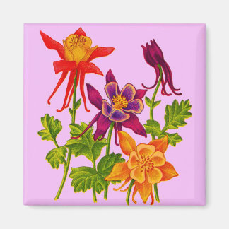 columbine flowers magnet