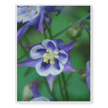 Columbine Flowers Temporary Tattoos