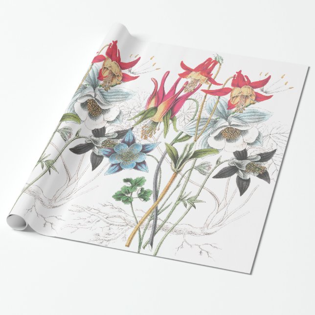 Columbine Flowers Wrapping Paper (Unrolled)