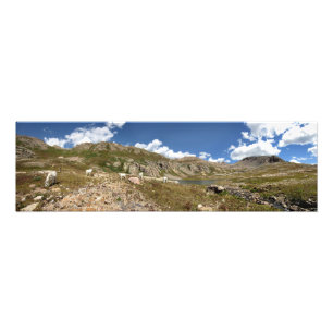 Columbine Lake Mountain Goats - Colorado Photo Print