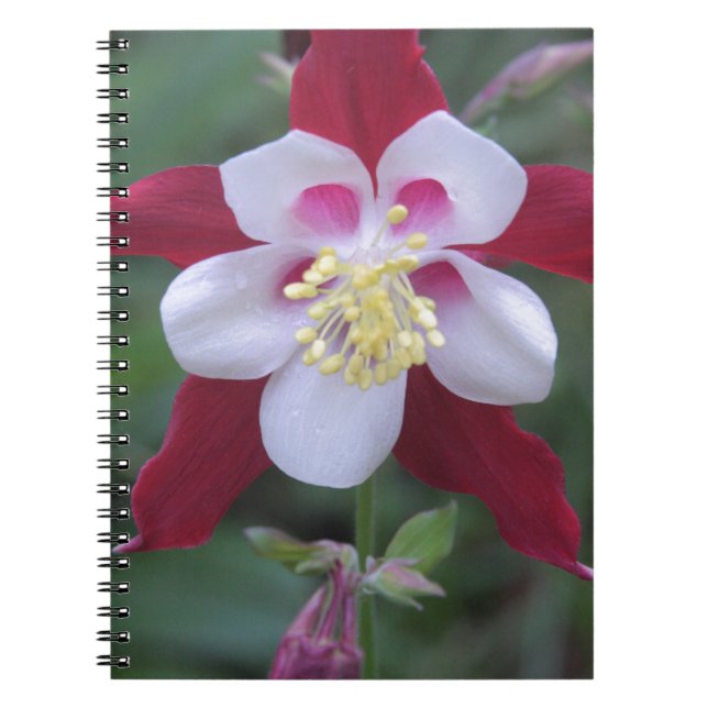 Columbine Notebook (Front)