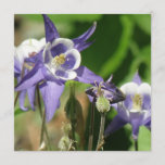 Columbine Plants Invitation