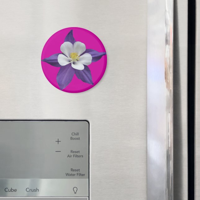 Columbine Purple and White Flower Magnet (In Situ (Fridge))