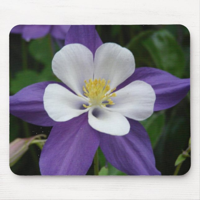 Columbine Purple and White Flower Mousepad (Front)
