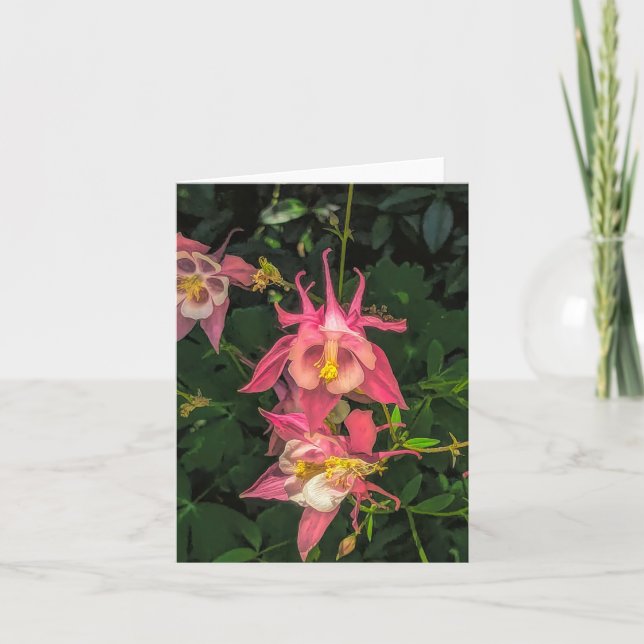 Columbine @ Stenton House Museum & Garden Notecard (Front)