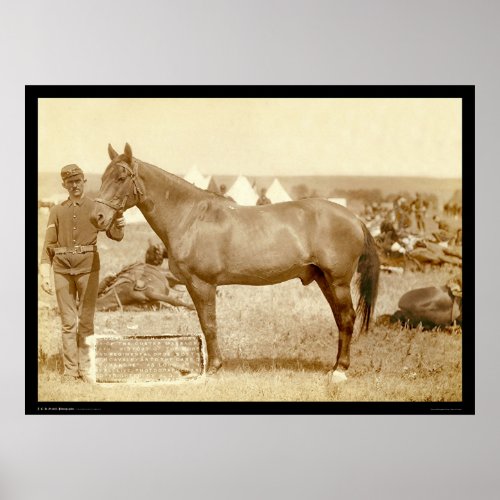 Comanche Army Horse SD 1887 Poster