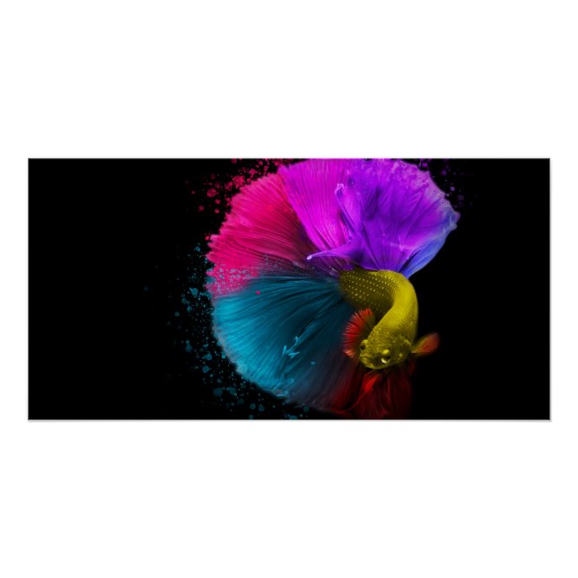 Combat Fish poster (Front)