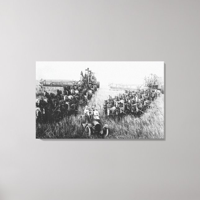 Combine Harvester Scene Canvas Print (Front)