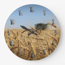 Combine in Wheat Field