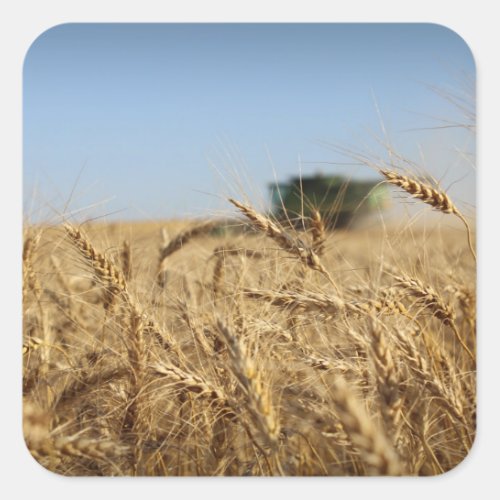 Combine in Wheat Field Square Sticker