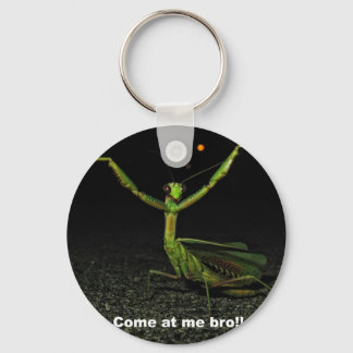 Come at me bro Mantis Keychain