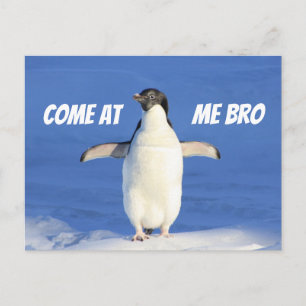 Come at Me Bro Meme Penguin Postcard