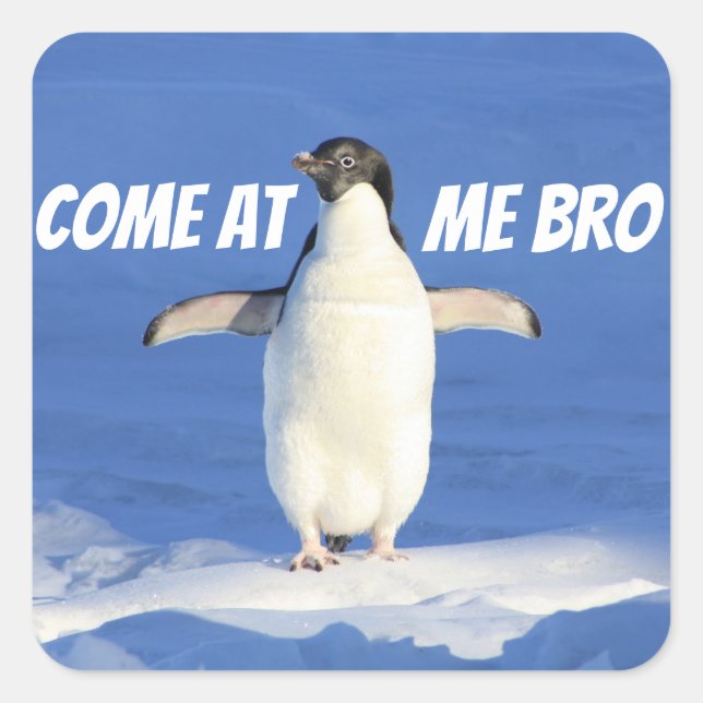 Come at Me Bro Meme Penguin Square Sticker (Front)