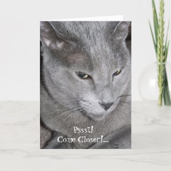 Come Closer Card by DanceswithCats at Zazzle