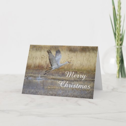 Come fly with me Merry Christmas Holiday Card