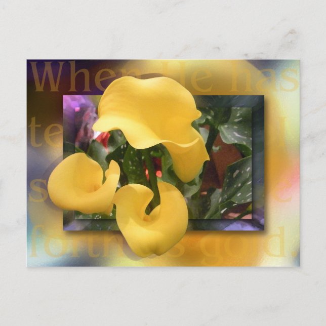 Come Forth as Gold Postcard (Front)