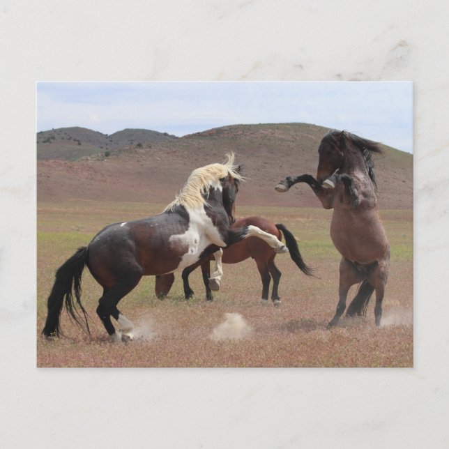 Come Get Some Postcard (Front)