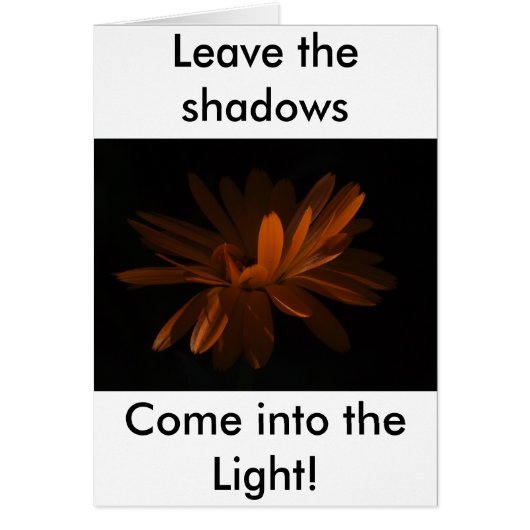 Come into the Light! Cards (Front)