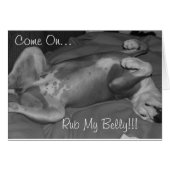 Come On...Rub My Belly (Front Horizontal)