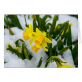 Come On Spring Time (Front Horizontal)