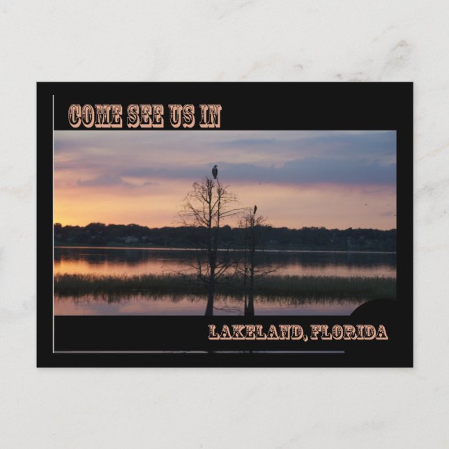 Come see us in Lakeland, FL Postcard (Front)