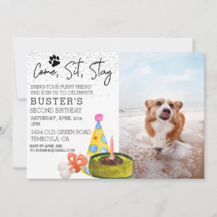 Come Sit Stay Dog Birthday Photo Party  Invitation