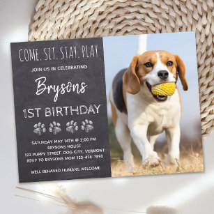 Come Sit Stay Play Chalkboard Puppy Dog Birthday  Invitation Postcard