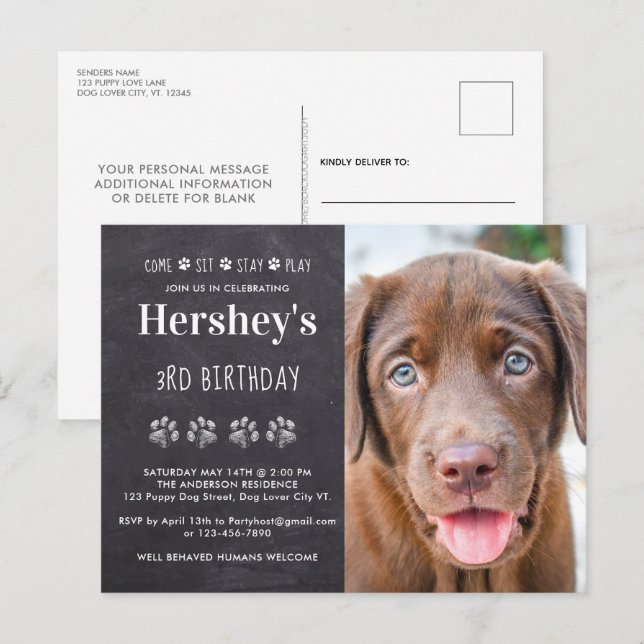 Come Sit Stay Play Personalized Puppy Dog Birthday Invitation Postcard (Front/Back)