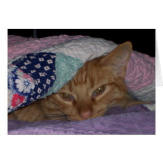 "Come Snuggle" Everyday Card