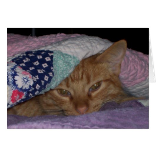 "Come Snuggle" Everyday Card (Front Horizontal)