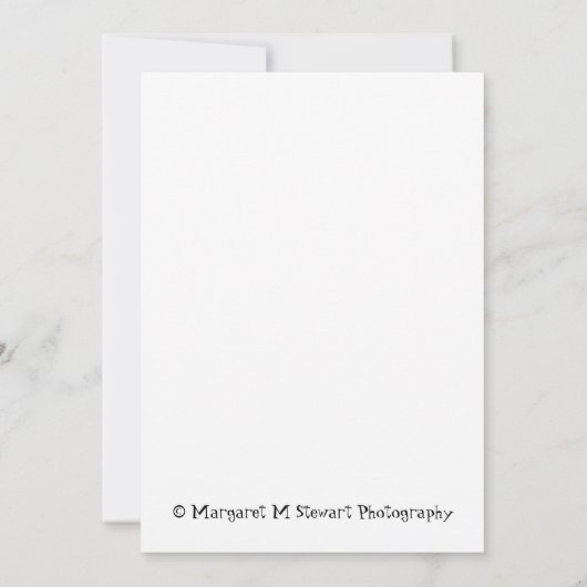 Come to dinner! (Back)