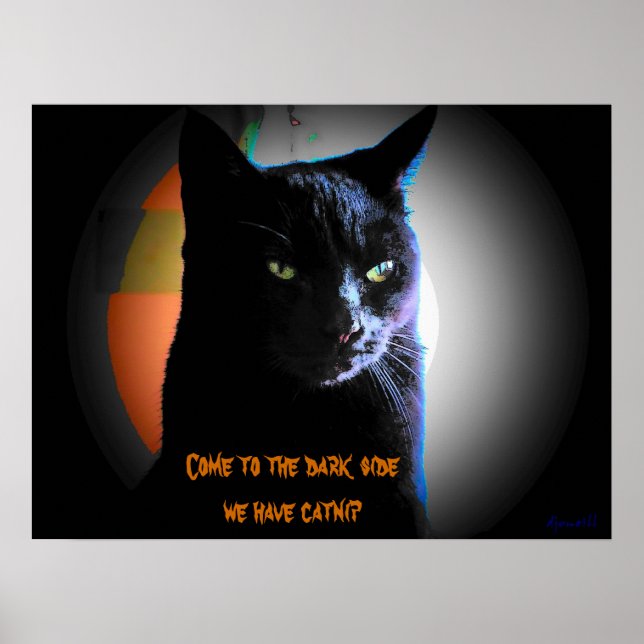 Come To The Dark Side We have catnip Poster (Front)