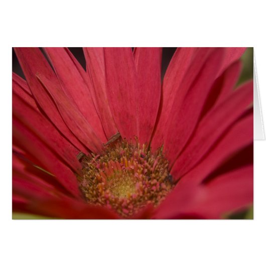 Come to Your Senses Card (Front Horizontal)