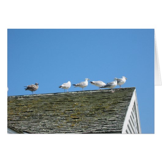 Come Together (Front Horizontal)