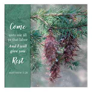 Come Unto Me Scripture Pine Tree Acrylic Print