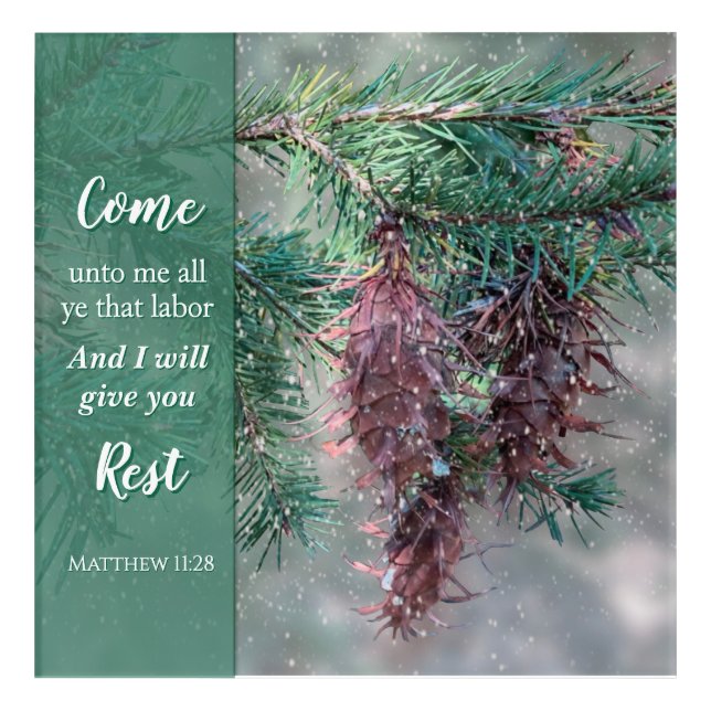 Come Unto Me Scripture Pine Tree Acrylic Print (Front)