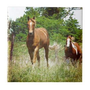 Come when Called, Two Horses Tile