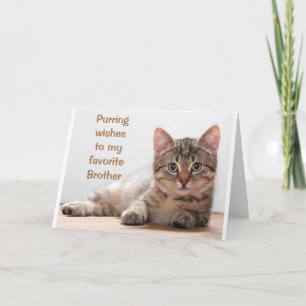 *COMEDIC CAT* FOR MY *BROTHER'S* BIRTHDAY CARD