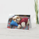 Shih Tzu Dog Portrait In Red Bow Tie Poster - View #12