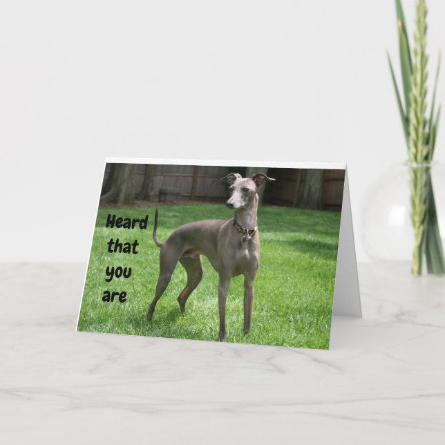 COMEDIC IRISH GREYHOUND HAPPY "60th BIRTHDAY" Card (Front)