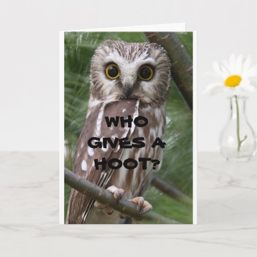 COMEDIC OWL BIRTHDAY HUMOR CARD
