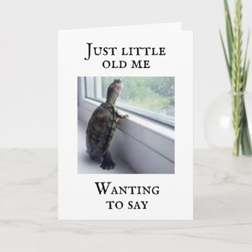COMEDIC TURTLE SAY YOU ARE OLD CARD